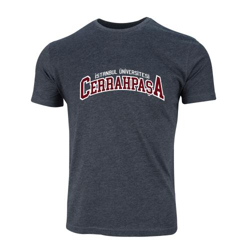 Istanbul Üniversitesi-Cerrahpasa Model 2