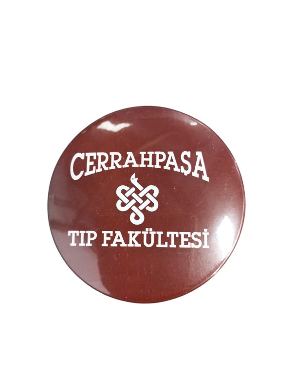 CTF - Rozet Model 21